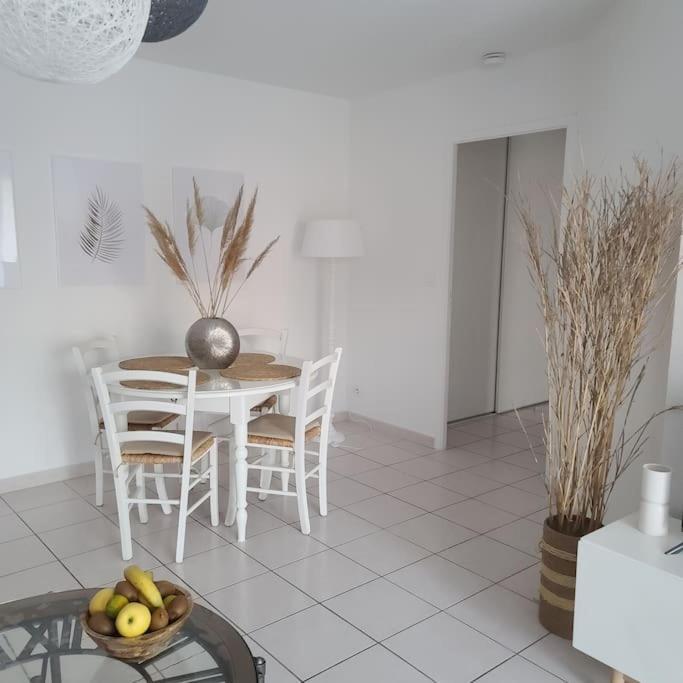 Appartement 63 M2, Tout Confort, Climatise. Saint-Cyprien  Bagian luar foto