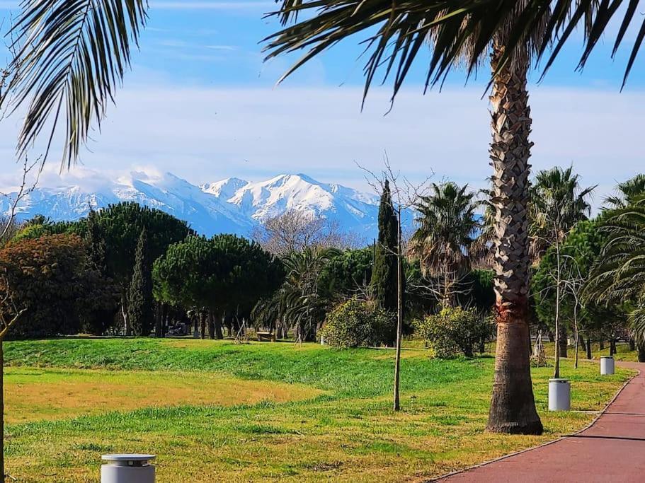 Appartement 63 M2, Tout Confort, Climatise. Saint-Cyprien  Bagian luar foto